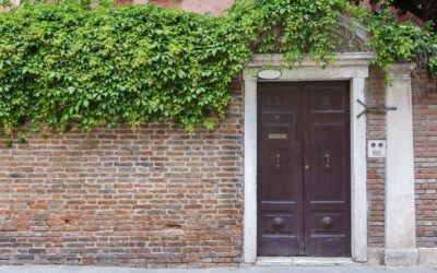 What Countries Can Americans Not Adopt From?