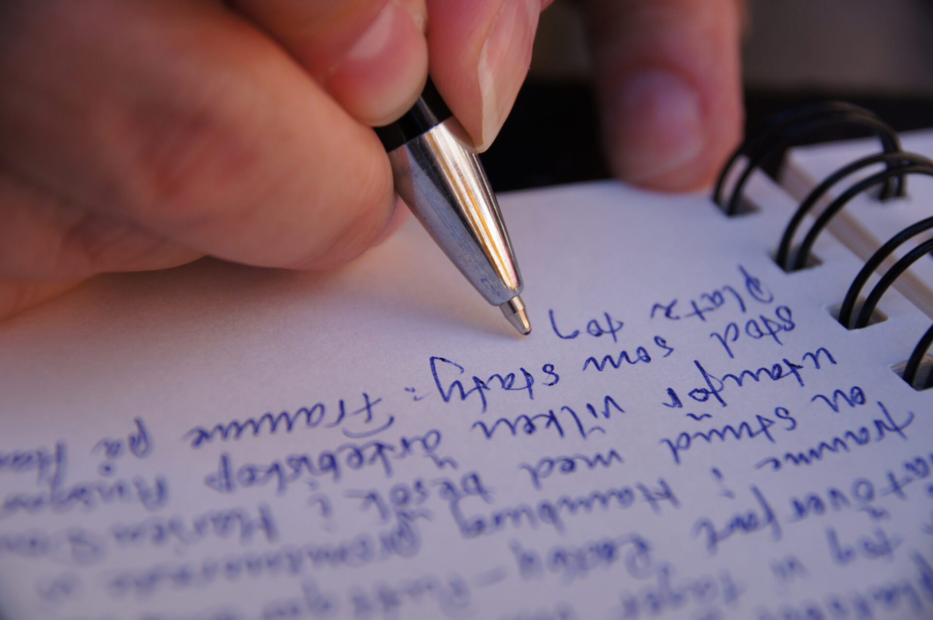 Close-up image of a person writing notes with a blue ink pen.
