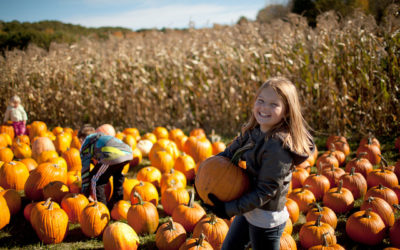 Kansas and Missouri Family Friendly Fall Festivals