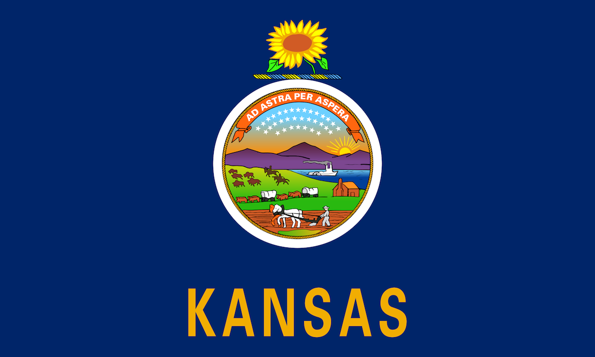 Image of the blue Kansas state flag with artwork in the center and a sunflower on top.