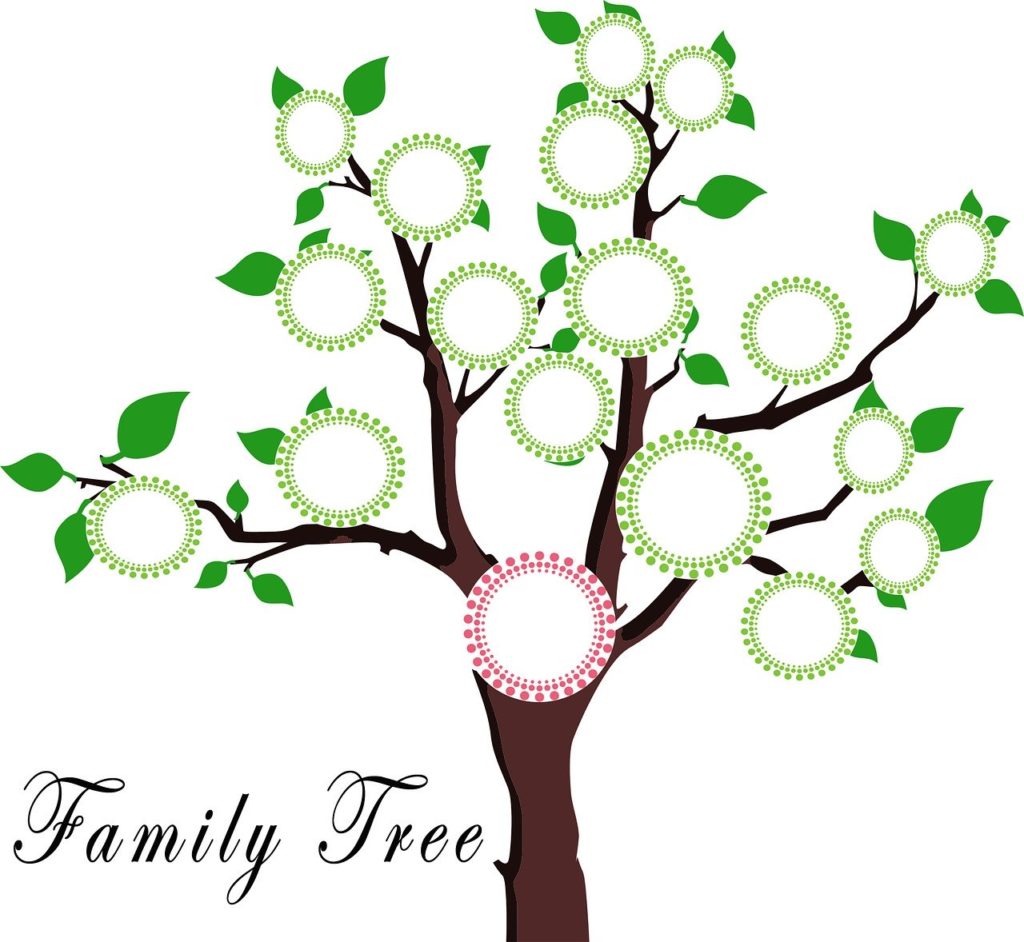 family tree project for adopted child