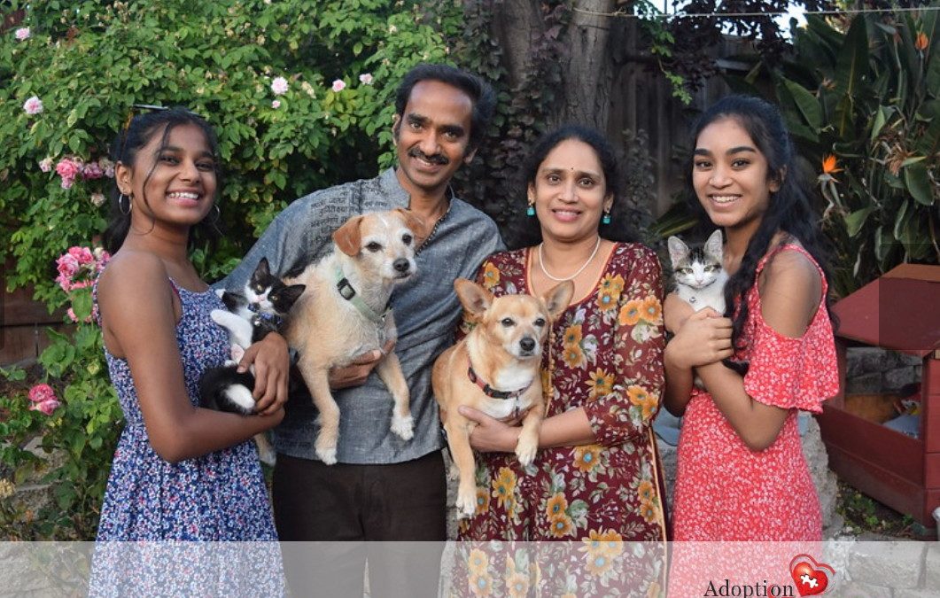 An Adoption Story From the Adoptee’s Perspective: Meet Anuhya