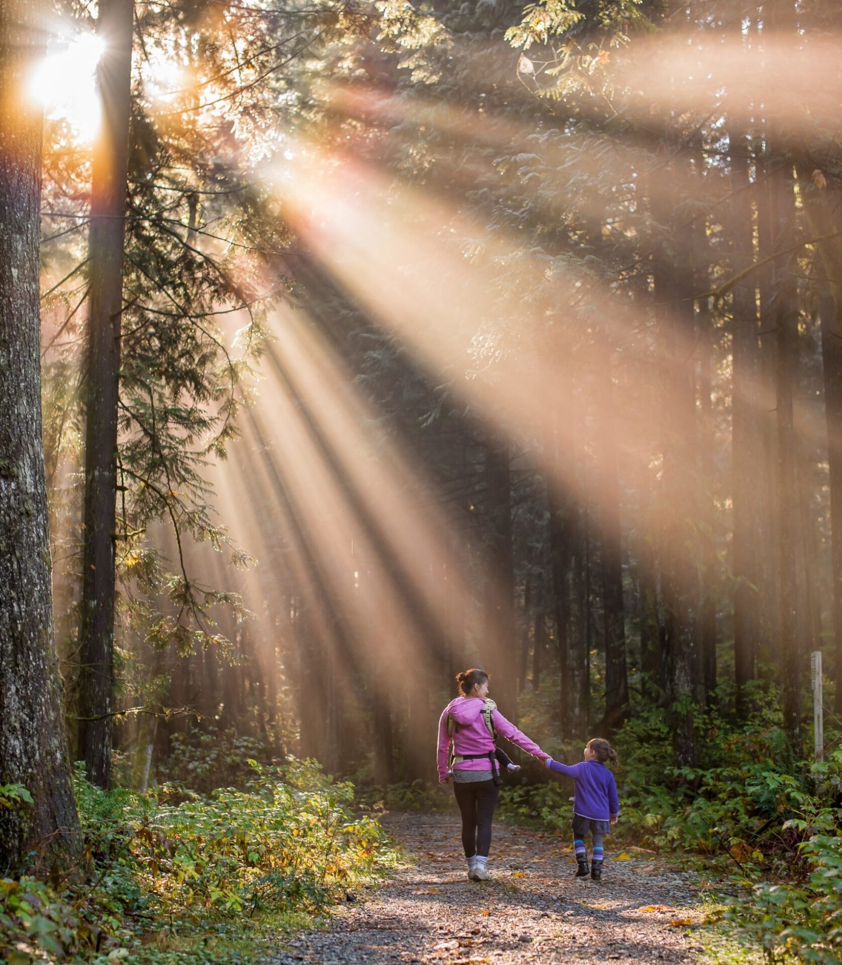 A woman and boy walk in the sun filled forest hand-in-hand.