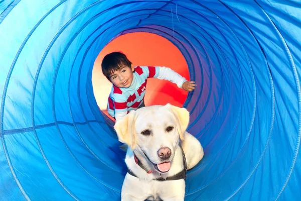The Role of Pet Dogs in Cultivating Warmth and Responsibility in Adopted Children, A Supportive Bond