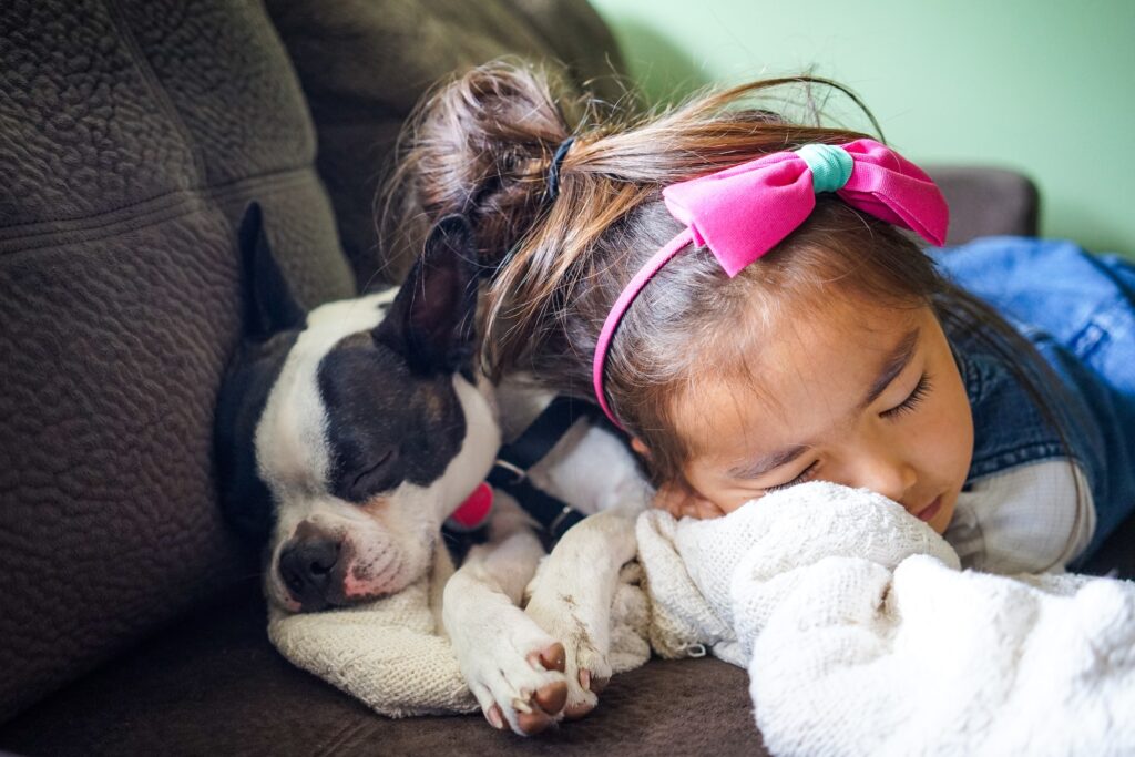 Adopted Children & Dogs: A Supportive Bond, The Role of Pet Dogs in Cultivating Warmth and Responsibility in Adopted Children
