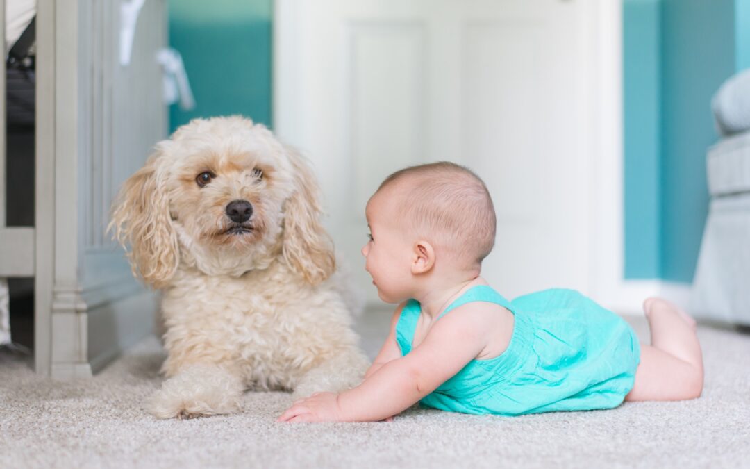 The Role of Pet Dogs in Cultivating Warmth and Responsibility in Adopted Children