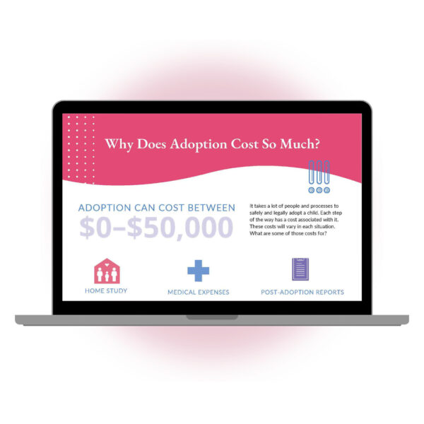 Why Does Adoption Cost So Much Part 1