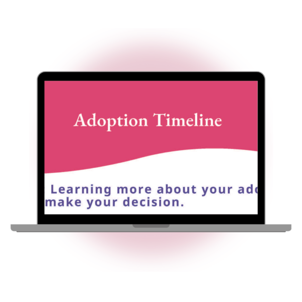 Adoption Timeline